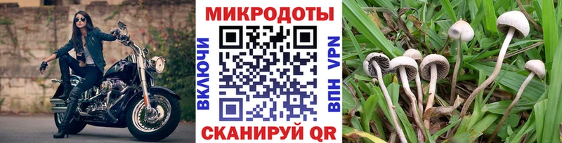 сколько стоит  Нестеровская  Галлюциногенные грибы мицелий 
